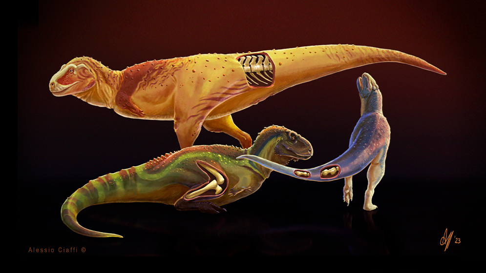 Identifican enfermedades en dinosaurios depredadores que vivieron en la Patagonia a fines del periodo Cretácico. Reconstrucción de Abelisáuridos. Ilustración de Alessio Ciaffi.