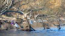Imagen de El viaje de un plástico al mar: basura sin fin contamina desde el río al océano