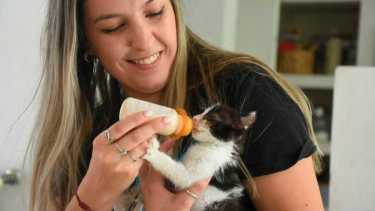Evangelina le da la mamadera a un gatito de un mes en tránsito en su casa. Foto: Juan Thomes