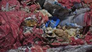 Video | Jeringas y residuos sanitarios a la vista en Roca: aclaran que no son peligrosos