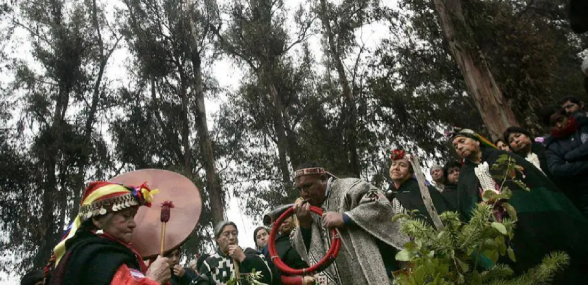 Del 24 al 29 de este mes se realiza la ceremonia de las comunidades mapuches en el Lanín (Foto ilustrativa Parque Nacional Lanín)
