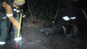 Prendieron fuego en un lugar no habilitado y causaron un incendio subterráneo, en el parque Lanín