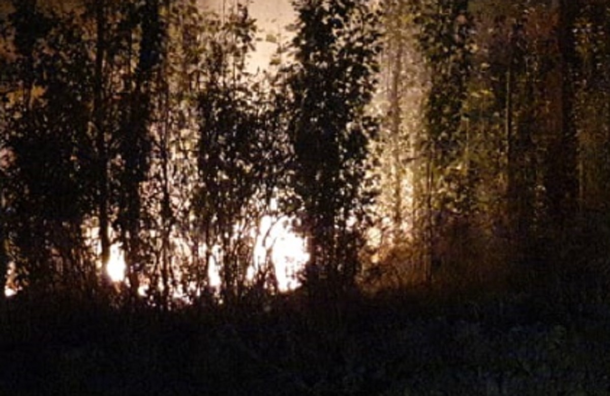 El incendio fue intencional. Foto: Centenario DIgital.