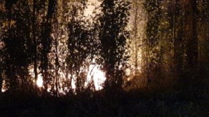 Tres incendios en menos de cuatro días en Vista Alegre: hallaron un bidón con combustible