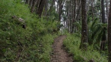 Los restos fueron hallados en la zona de Queñi, una de las más recónditas, ya que se encuentra cerca de la frontera con Chile. Foto: Archivo