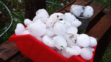 Alerta naranja por tormenta: cayó granizo en Río Colorado y evalúan el impacto en la producción