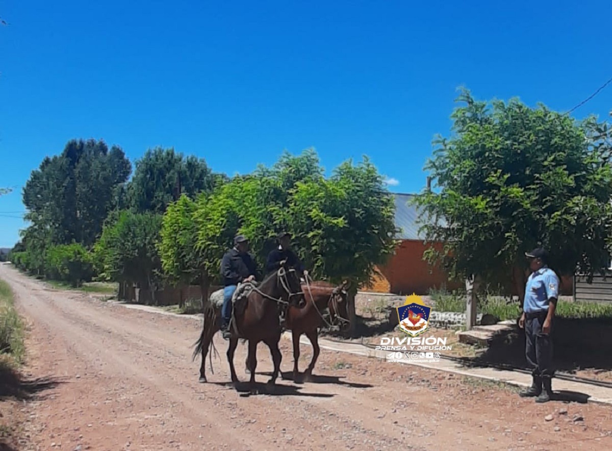 Son 18 los caballos recuperados. Foto: Gentileza