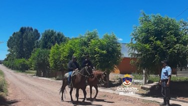 Son 18 los caballos recuperados. Foto: Gentileza