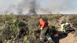 Video | Extinguieron un incendio de pastizales en Las Grutas: el fuego había llegado hasta la Ruta 3