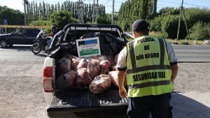 Intentó entrar a Cipolletti con la camioneta repleta de carne y lo descubrieron en Barda del Medio