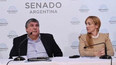 El kirchnerismo busca frenar el DNU de Milei. Foto: Gentileza Infobae. 