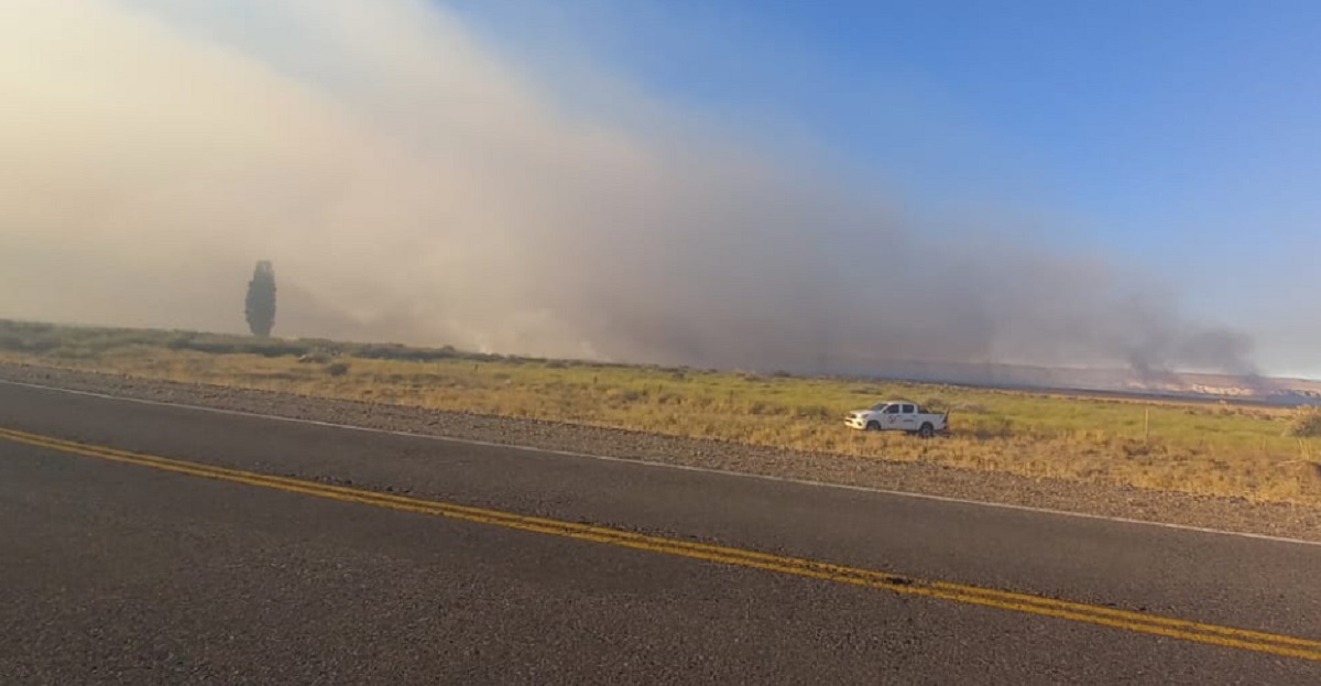 Se reactivó el incendio forestal en la Ruta 324 de Neuquén: ya consumió 200  hectáreas