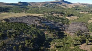 Video | Incendio en el parque nacional Lanín, cerca del lago Rucachoroi: «Prevemos causas humanas»