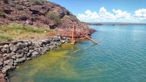 Alerta máxima por algas contaminantes en lagos de Neuquén: Salud pidió que se «extremen cuidados»