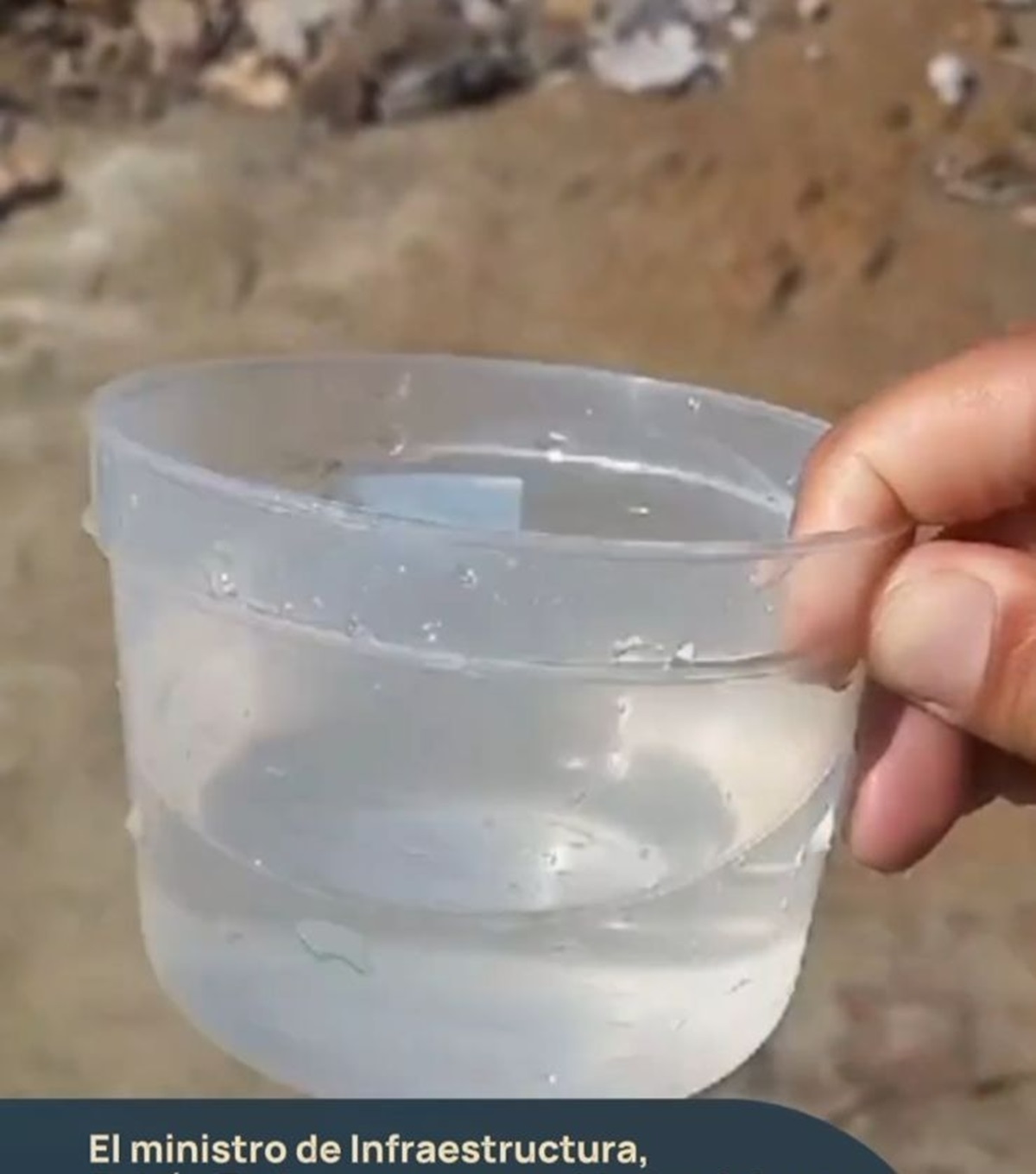 Alerta por algas contaminantes en lagos de Neuquén: ¿El agua es apta para el consumo? 