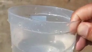 Alerta por algas contaminantes en lagos de Neuquén: ¿El agua de red es apta para el consumo?