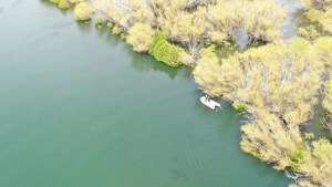 Pescador desaparecido en el río Limay, en Piedra del Águila: se rastrillaron islas de El Chocón