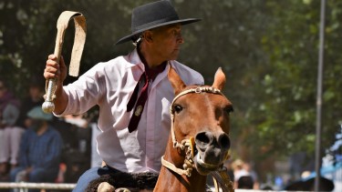 Cinco días para ver todo lo que se hace en el campo.