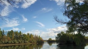Un adolescente sufrió una descarga eléctrica cuando se bañaba en el río, en Chichinales