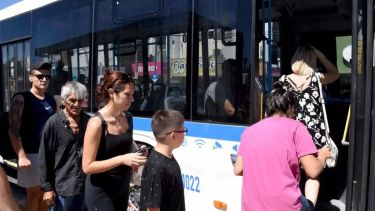 La quita de Milei impacta en más de 1.6 millones de pasajeros de colectivos en Neuquén capital