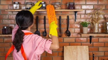 Las empleadas domésticas registradas deben recibir los aportes correspondientes ante AFIP.-