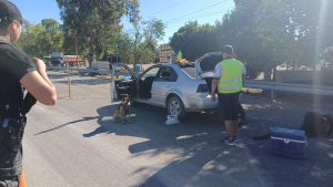 Los detuvieron en un control en Chichinales y el perro antidrogas encontró marihuana