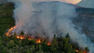 Alertan por riesgo de incendios forestales en Río Negro, ante la situación en parque Los Alerces