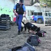 Imagen de Emily, la perra antinarcóticos detectó una millonaria carga de droga en la terminal de Neuquén