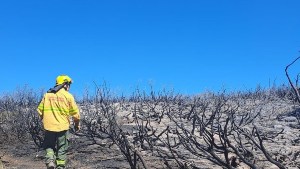 El incendio en el parque nacional Lanín, cerca del lago Rucachoroi ya superó las 24 horas