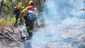 Incendio en el parque Los Alerces ya consumió más de 1000 hectáreas: la acusación a la RAM