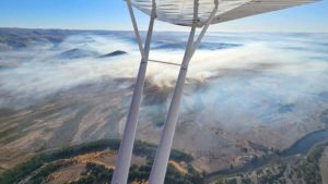 Extinguieron el incendio forestal sobre Ruta 234 en Neuquén: más de 200 hectáreas afectadas