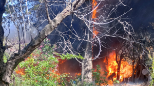 Video: Voraz incendio consumió totalmente una casa en Paso Córdoba