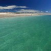 Imagen de Ciencia, naturaleza y traslado gratis: la gran propuesta para celebrar el Día de los Océanos en Río Negro