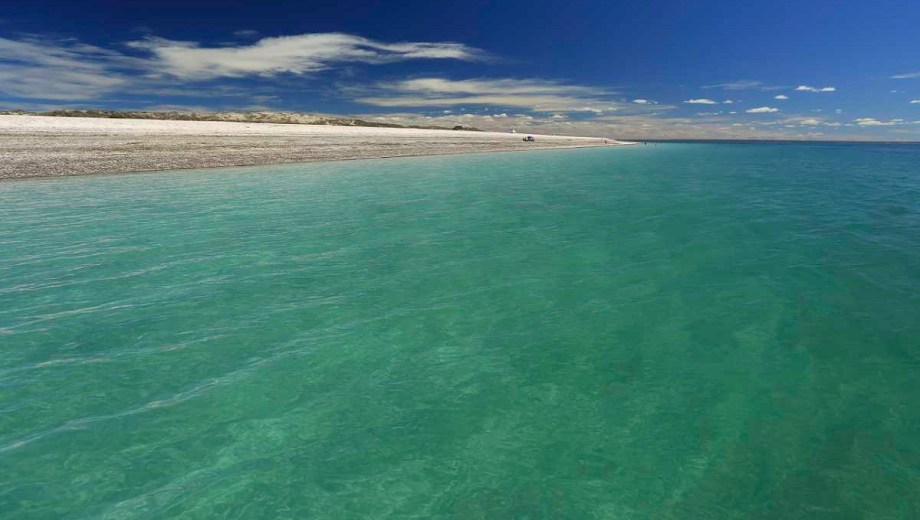 Recorren punta Villarino por el Día de los Océanos.