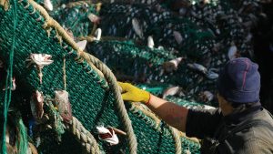Crisis pesquera en San Matías: ¿Peligra el  abastecimiento de pescado?