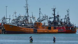 La pesca rionegrina, más allá de la Ley Ómnibus: por qué 2023 fue el peor año de su historia