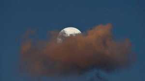 La impresionante Luna de Lobo está a punto de llegar: Cómo y cuándo verla en Neuquén y Río Negro