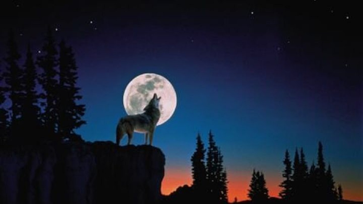 La Luna del Lobo es la primera luna llena del año.-