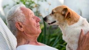 Los contradictorios efectos psicológicos de las mascotas en las personas mayores
