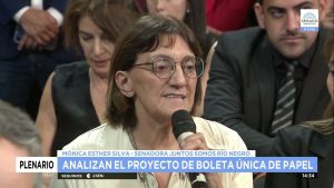Boleta única: Silva, la senadora de Weretilneck, logró dictamen propio y complicó al oficialismo
