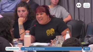 La furiosa reacción de un periodista al escuchar a una diputada de Grabois decir que no leyó la Ley Ómnibus