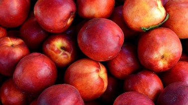 Fiesta Provincial del Pelón en Neuquén: se llevará a cabo los días 11 y 12 de febrero. 