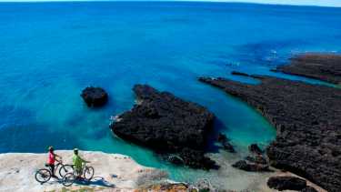 Verano en Puerto Madryn: los precios de alojamientos, comidas y excursiones con el 15% de descuento