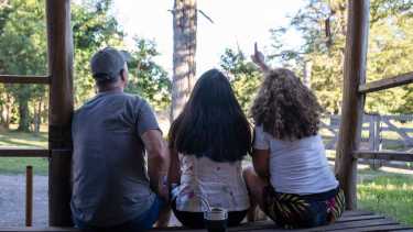 Buscan familias adoptantes en Neuquén. 