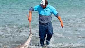 El noble acto de pescar y preservar: atrapó un tiburón en peligro de extinción y lo devolvió