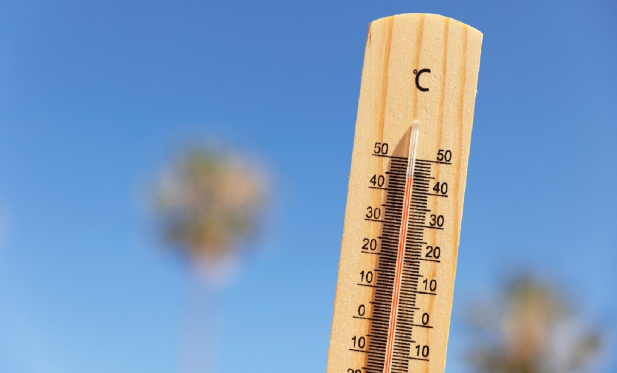 El 2023 fue el año más caluroso desde 1850 – Diario Río Negro