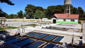 En Río Negro, habrá moratoria y subas del 140% para los servicios de agua y cloacas