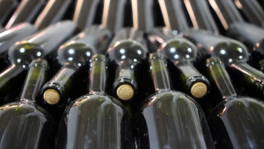 Impulso para la actividad vitivinícola. 