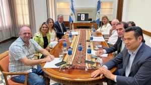 Figueroa escuchó qué postura tienen diputados y senadores neuquinos sobre la Ley Ómnibus ¿qué les pidió?