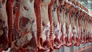 Exportaciones: establecieron cupos para la carne a países de la Comunidad Andina y Mercosur